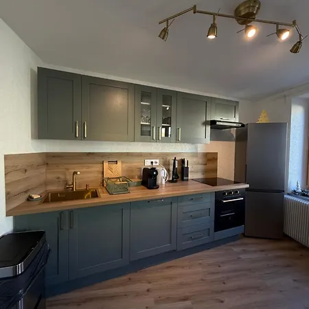 Le 16 - Tres Bel 3 Renove Pour 8 Personnes * Кольмар