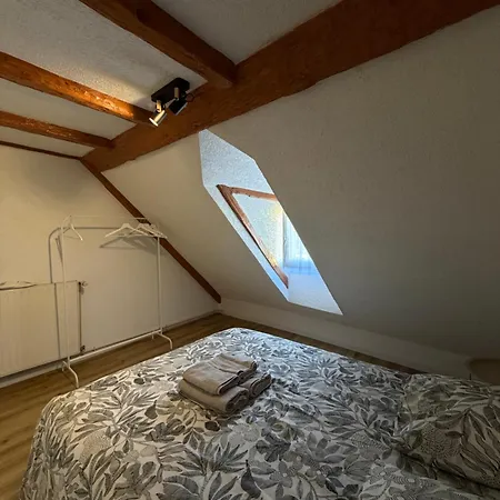Le 16 - Tres Bel 3 Renove Pour 8 Personnes Colmar