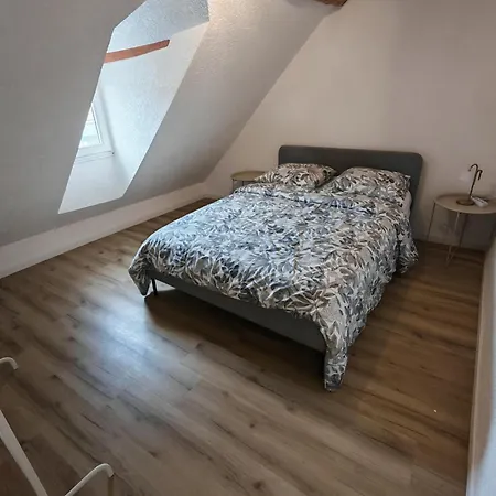 Le 16 - Tres Bel 3 Renove Pour 8 Personnes Colmar
