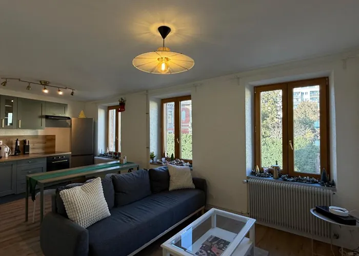 Le 16 - Tres Bel 3 Renove Pour 8 Personnes 公寓 科尔马