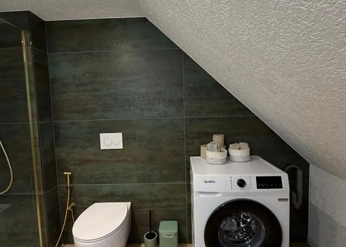 Le 16 - Tres Bel 3 Renove Pour 8 Personnes 公寓 科尔马