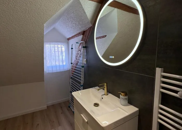 Le 16 - Tres Bel 3 Renove Pour 8 Personnes * 科尔马