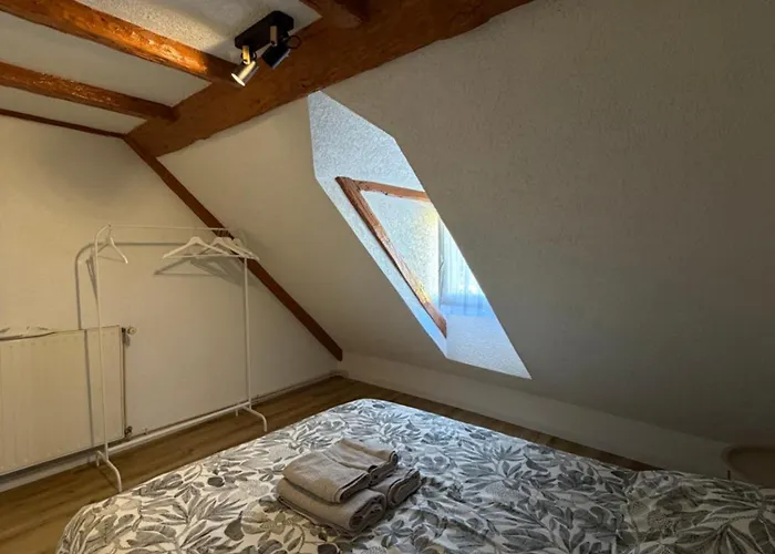 Le 16 - Tres Bel 3 Renove Pour 8 Personnes 科尔马