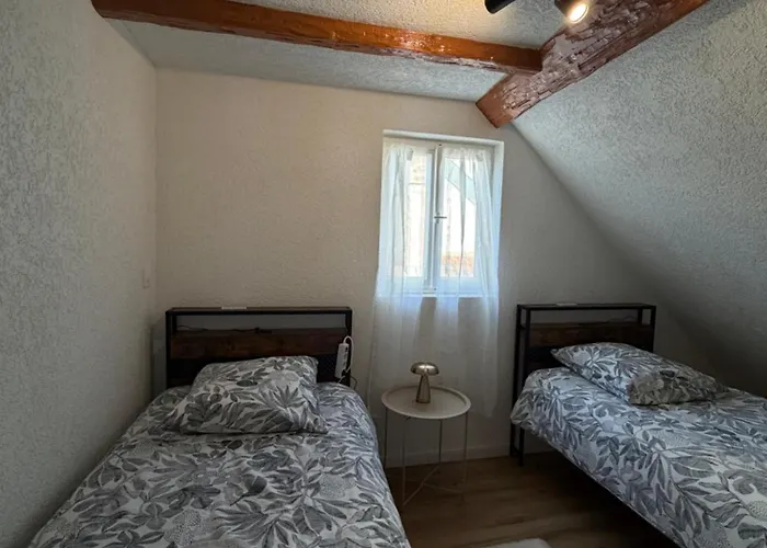 公寓 Le 16 - Tres Bel 3 Renove Pour 8 Personnes